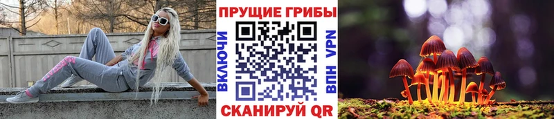 Галлюциногенные грибы мухоморы  Рудня 