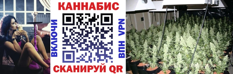 Каннабис MAZAR  Рудня 